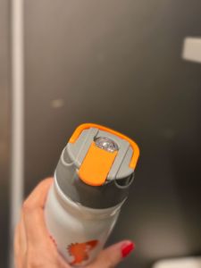 Dinosaur Water Bottle