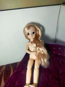 Collectible korean fashion doll.