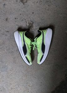 Puma Neon Running shoes 👟