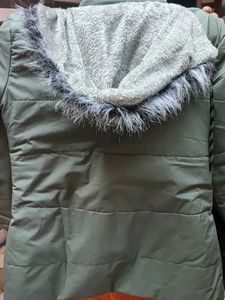 Olive Green Padded Winter Jacket