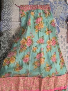 Pink and Pista lehnga choli