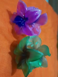 Beautiful Set of 2 Hair Clutchers