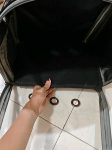 Transparent Cat Bubble Backpack