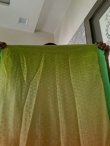 Vibrant Green Saree with Embellished Border