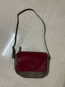 Original Baggit Bag