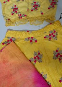 Yellow Embroidered Lehenga Choli