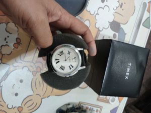Timex Classic Watch
