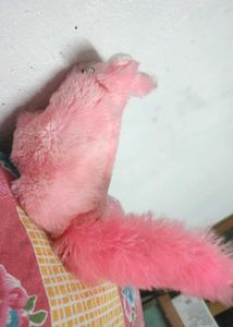 Cute Hanging Teddy 🧸🐻🐻