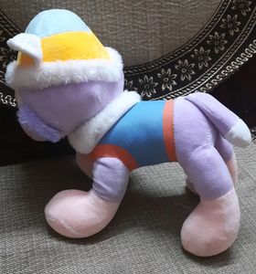 Cute Puppy