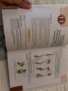 Laboratory Manual in Biology Class XII