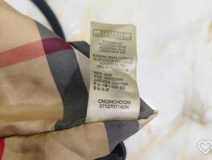 Chic Burberry Hobo Bag