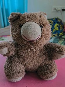 Cute Teddy Bear Plush Toy