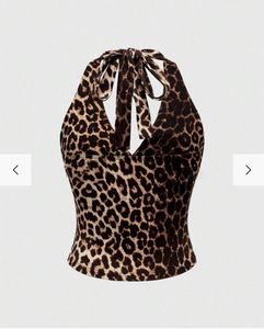 Leopard Print V-Neck Dress