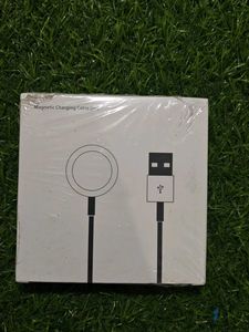 apple Magnetic Charging Cable free power bank