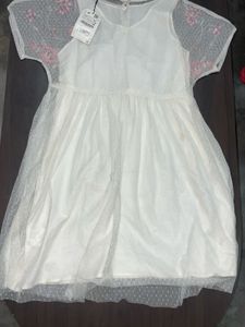 White Embroidered Mesh Dress zara original