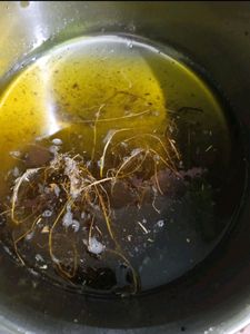Dandruff Control Oil