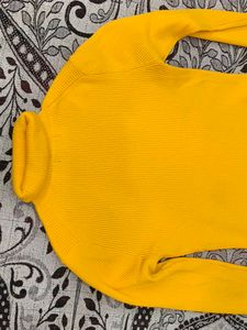 Yellow Highneck  For Winters