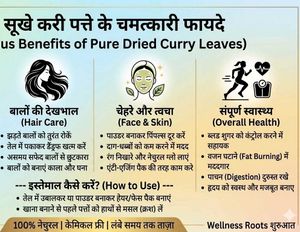 Pure Dried Curry Leaves