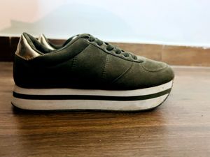 Shoexpress Green Casual Shoes