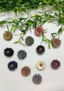 Hair accessories combo of 10 clips