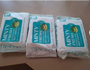 Minty Fresh Refreshing Wet Wipes