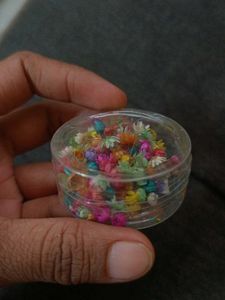 Mini Dried Flowers