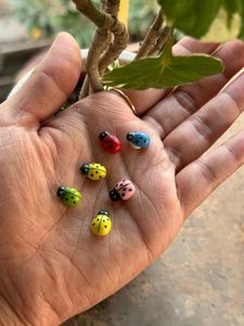 Set Of 6 Bug For Decor Purpose