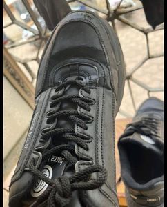 Men Shoes