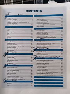 Maths Ace Elite Class 6 Textbook