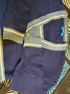 Navy Blue V-Neck Striped Sweater