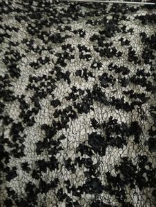 Black Lace scarf with Tassels