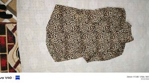 Animal Print Shorts