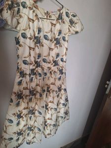 Floral Print Mini Dress