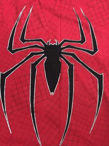 Spider-Man Graphic T-Shirt