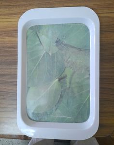 Melamine  Plastic unbreakable  tray