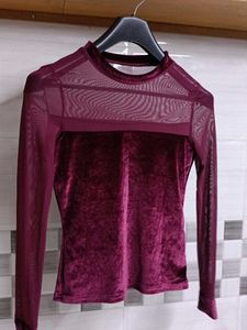 Sheer Velvet Long Sleeve Top