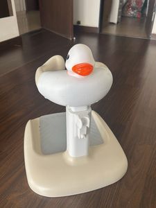 Baby Duck Walker &amp; Toy