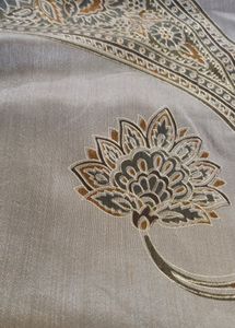 Saree With Desginer Blouse