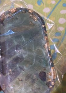 Elegant Oval Tray with Gold Leaf Accents