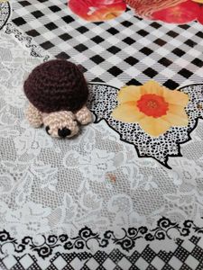Handmade Knitted Tortoise