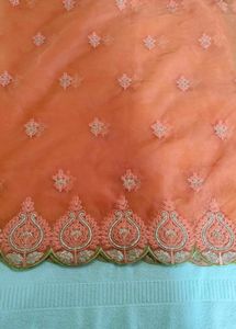 pure organza dupatta