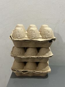 Cardboard Egg Cartons