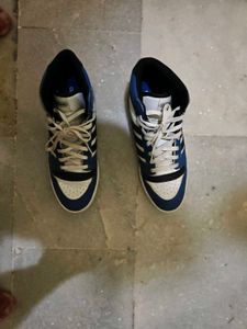 Adidas High-Size UK 12-Top Sneakers