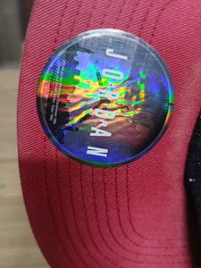 Jordan Flight Cap
