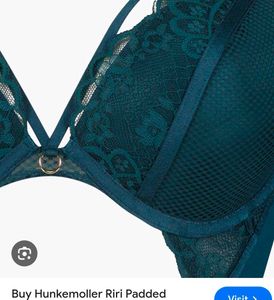 Elegant sexy and beautiful bra with brief