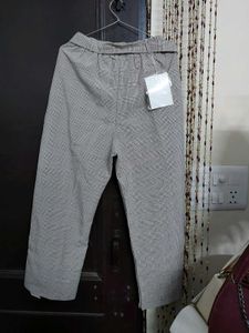 Korean Style Formal Trouser