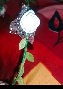 Beautiful Crown 👑