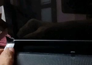 Dell Studio Laptop