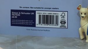 Icebreaker Book by Hannah Grace (NEW)