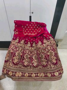 Elegant Embroidered Lehenga Set